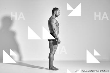 ramon reference 01 01