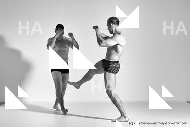 fighting reference 03 10