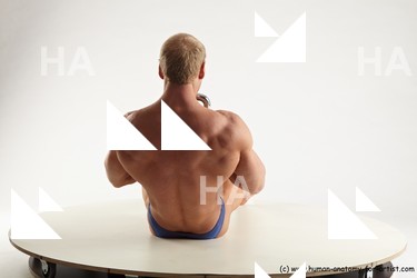 various reference of alberto 31