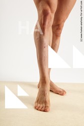 various reference of alberto 35