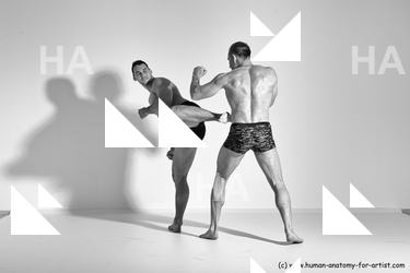 fighting reference 07 07