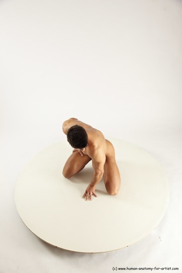 Nude Man White Muscular Short Brown Sitting poses - ALL Sitting poses - on knees Multi angles poses Realistic