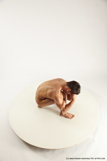 Nude Man White Muscular Short Brown Sitting poses - ALL Sitting poses - on knees Multi angles poses Realistic