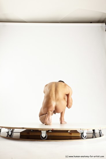 Nude Man White Muscular Short Brown Sitting poses - ALL Sitting poses - on knees Multi angles poses Realistic