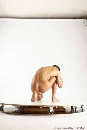 Nude Man White Muscular Short Brown Sitting poses - ALL Sitting poses - on knees Multi angles poses Realistic