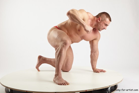 Swimsuit Man White Kneeling poses - ALL Muscular Short Brown Kneeling poses - on one knee Academic