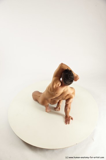 Nude Man White Muscular Short Brown Sitting poses - ALL Sitting poses - on knees Multi angles poses Realistic