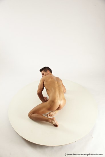 Nude Man White Muscular Short Brown Sitting poses - ALL Sitting poses - on knees Multi angles poses Realistic