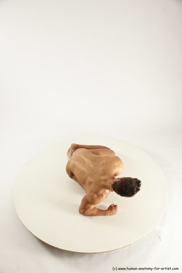 Nude Man White Muscular Short Brown Sitting poses - ALL Sitting poses - on knees Multi angles poses Realistic