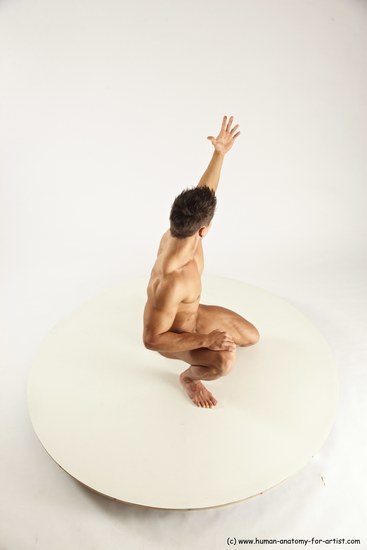 Nude Man White Muscular Short Brown Sitting poses - ALL Sitting poses - on knees Multi angles poses Realistic