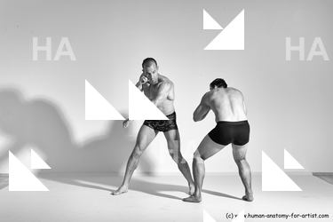 Underwear Fighting Man - Man White Muscular Short Brown Dynamic poses Academic