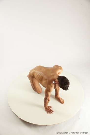 Nude Man White Kneeling poses - ALL Muscular Short Brown Kneeling poses - on one knee Multi angles poses Realistic