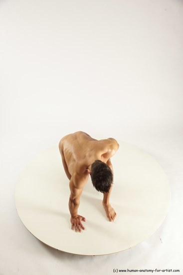 Nude Man White Kneeling poses - ALL Muscular Short Brown Kneeling poses - on one knee Multi angles poses Realistic