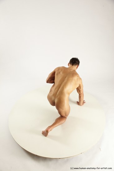 Nude Man White Kneeling poses - ALL Muscular Short Brown Kneeling poses - on one knee Multi angles poses Realistic