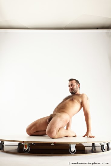 Nude Man White Average Short Brown Sitting poses - ALL Sitting poses - on knees Multi angles poses Realistic