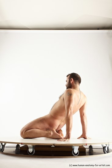 Nude Man White Average Short Brown Sitting poses - ALL Sitting poses - on knees Multi angles poses Realistic