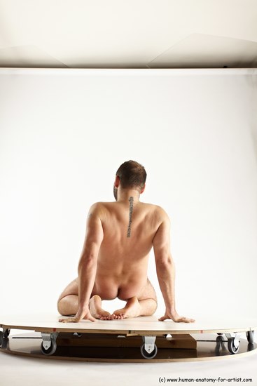 Nude Man White Average Short Brown Sitting poses - ALL Sitting poses - on knees Multi angles poses Realistic