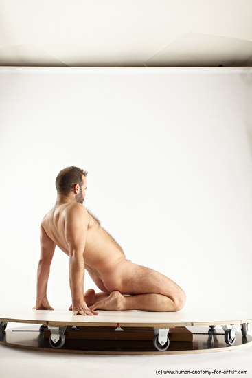 Nude Man White Average Short Brown Sitting poses - ALL Sitting poses - on knees Multi angles poses Realistic