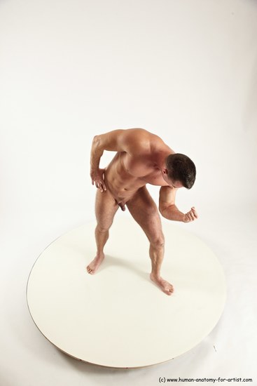 Nude Man White Standing poses - ALL Muscular Short Brown Standing poses - simple Multi angles poses Realistic