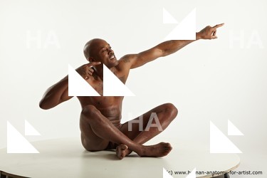 sitting reference of virgila 08