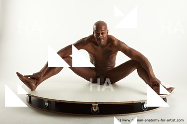 sitting reference of virgila 09