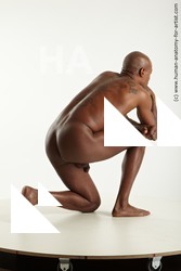 Nude Man Black Slim Bald Realistic
