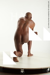 Nude Man Black Slim Bald Realistic