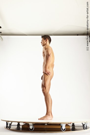 Nude Man White Standing poses - ALL Muscular Short Blond Standing poses - simple Multi angles poses Realistic