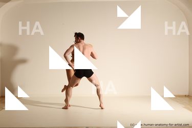 pasodoble reference 07 37