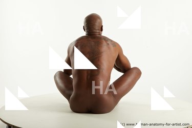 various reference of virgil 13