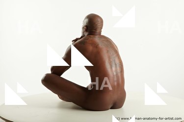 various reference of virgil 12