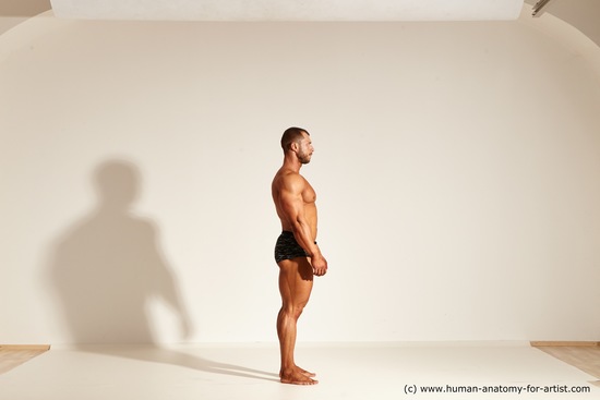 Underwear Gymnastic poses Man White Laying poses - ALL Muscular Short Brown Laying poses - on back Dynamic poses Academic