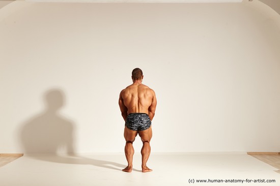 Underwear Gymnastic poses Man White Standing poses - ALL Muscular Short Brown Standing poses - simple Dynamic poses Academic