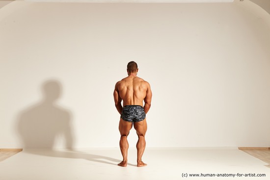 Underwear Gymnastic poses Man White Standing poses - ALL Muscular Short Brown Standing poses - simple Dynamic poses Academic