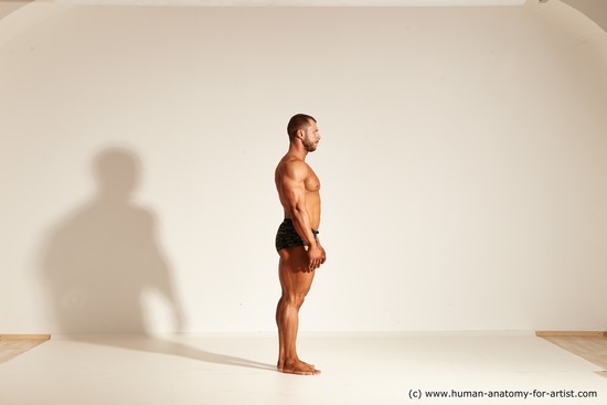 Underwear Gymnastic poses Man White Standing poses - ALL Muscular Short Brown Standing poses - simple Dynamic poses Academic