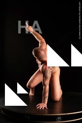 Nude Man White Average Short Brown Standard Photoshoot Realistic