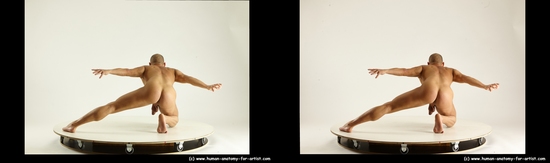 Nude Man White Kneeling poses - ALL Muscular Short Brown Kneeling poses - on both knees 3D Stereoscopic poses Realistic