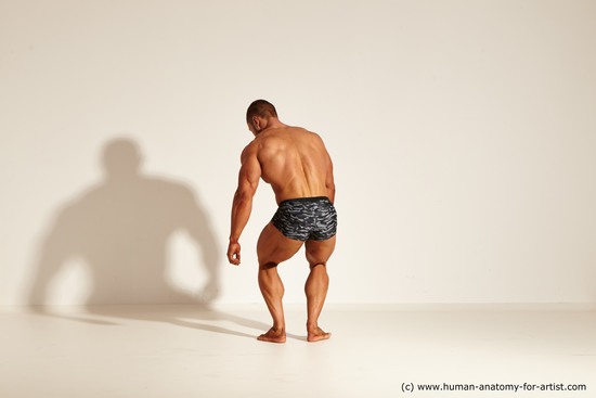 Dynamic poses Academic