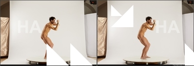 stereoscopic henry 023