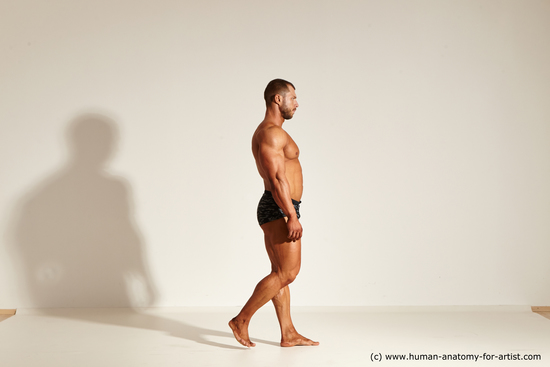 Underwear Man White Muscular Short Brown Dynamic poses Academic