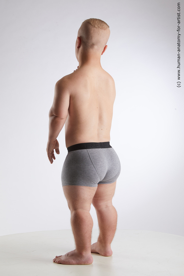 Underwear Man White Average Short Brown Standard Photoshoot Academic