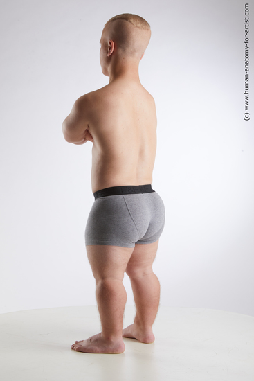 Underwear Man White Average Short Brown Standard Photoshoot Academic