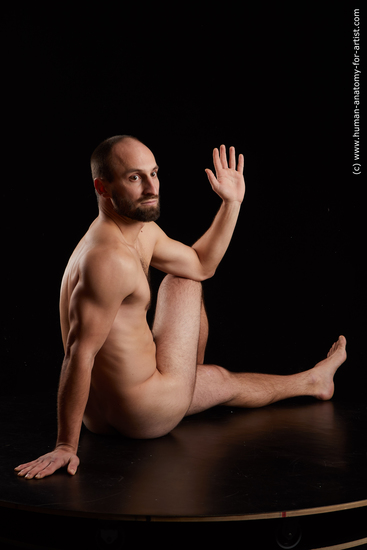 Nude Man White Sitting poses - simple Slim Short Brown Sitting poses - ALL Standard Photoshoot Realistic