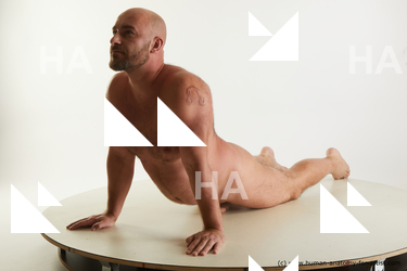 laying reference neeo 01