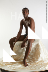 sitting reference kavan 08