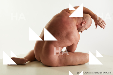 sitting reference neeo 06