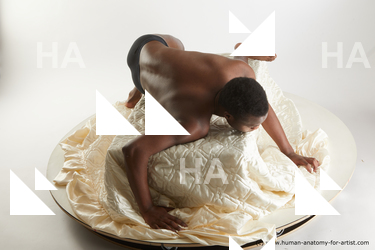 laying reference kavan 05