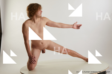 kneeling reference arvid 08