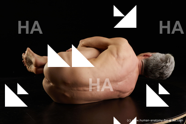 laying reference lutro 05