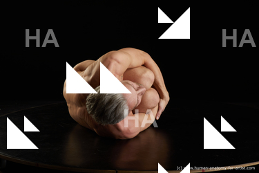 laying reference lutro 07